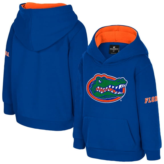 Toddler Colosseum Royal Florida Gators Big Logo Volume Fleece Pullover Hoodie