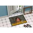 thumbnail image 2 of Carolines Treasures VHA3036MAT Patriotic Barn Land of America Door Mat Indoor Rug or Outdoor Welcome Mat 18x27 Doormat, 2 of 4