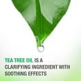 thumbnail image 6 of Neutrogena Tea Tree Oil Shampoo to Refresh & Moisturize Dry Scalp & Hair, 12 fl oz, 6 of 15