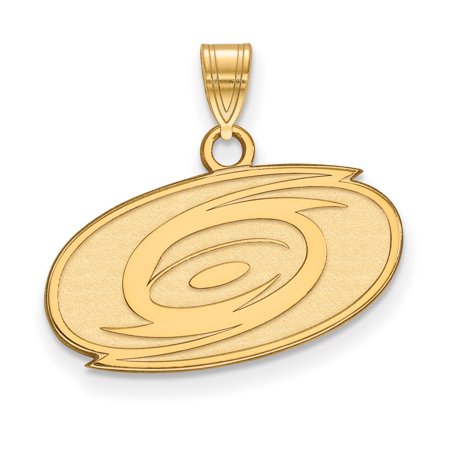 10k Yellow Gold Carolina Hurricanes Pendant Necklace with NHL Logo Unisex Sports Jewelry for Men and Women Hockey Fan Collectible Team Emblem Accessory