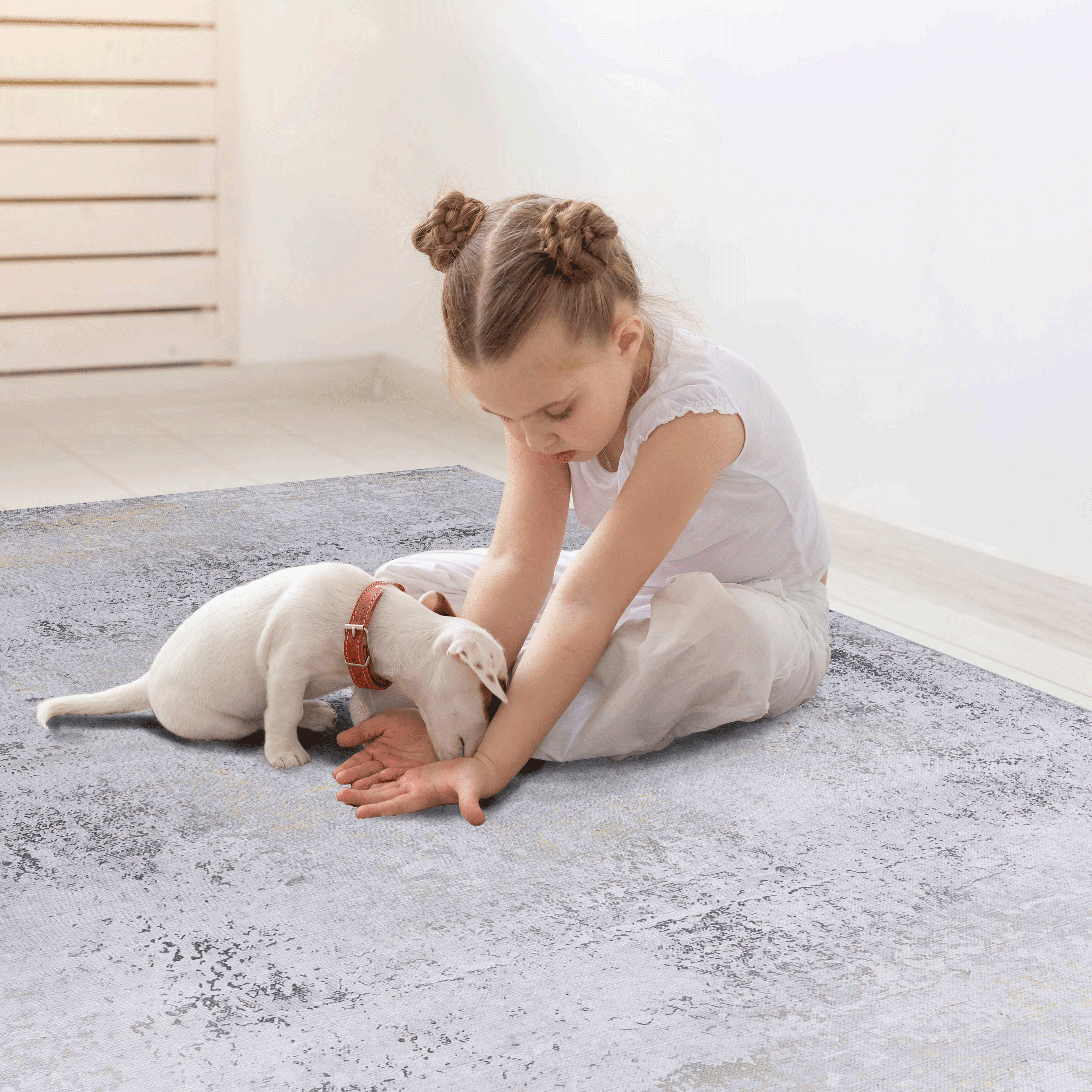 2x3 Washable Doormat Area Rug Boho Low Pile Non-Slip TPR Backing Non-Shedding Stain Resistant Chenille Soft Kids Pets Friendly Indoor Rug for Entryway Living Room Bedroom Kitchen Hallway