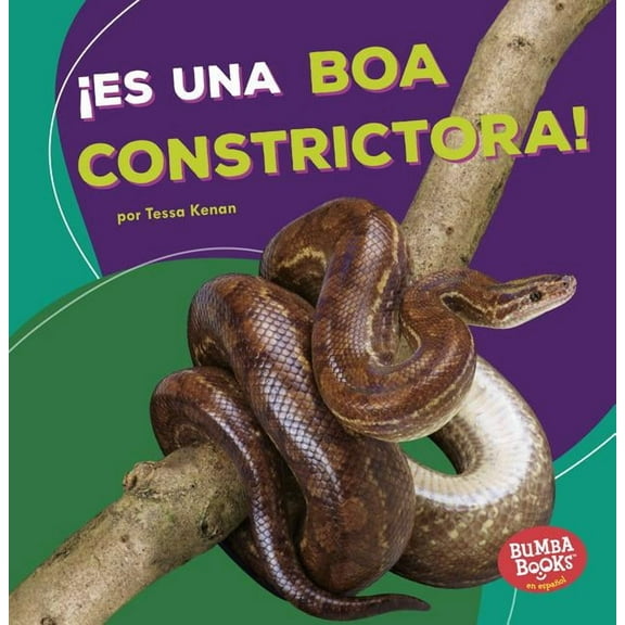 Bumba Books (R) en Español -- Animales de la Selva Tropical: ¡Es Una Boa Constrictora! (It's a Boa Constrictor!) (Paperback)