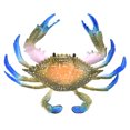 thumbnail image 1 of Modelo de cangrejo de animal marino realista, cangrejo de plástico simulado, accesorios educativos para niños, juguetes de cangrejo (PL1271086 cromático), 1 of 14