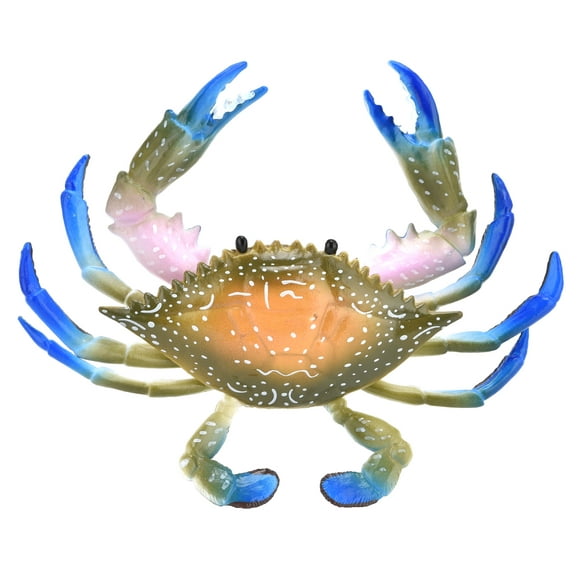 Akozon Crabe en Plastique Jouet Animal Marin pour l'Éducation des Cadeaux pour les Enfants