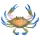 thumbnail image 2 of Cangrejo De Plástico Duradero, Modelo De Alta Simulación, Juguetes De Cangrejo, Educación Temprana Para Bebés De Más De 3 Años, 1 Ud., 2 of 8