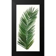 thumbnail image 2 of McCavitt, Naomi 9x14 Black Modern Framed Museum Art Print Titled - Tropical Breeze Leaves V, 2 of 5