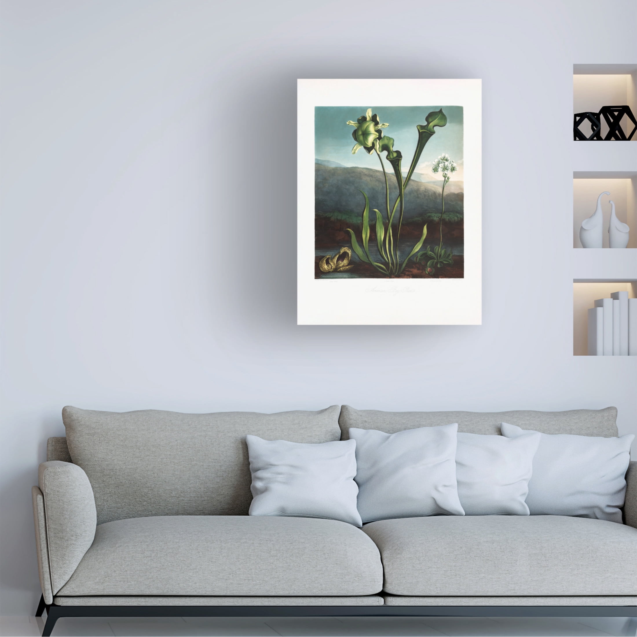 Trademark Fine Art Pictufy American Bog Plants from The Temple of Flora 1807 Canvas Wall Art
