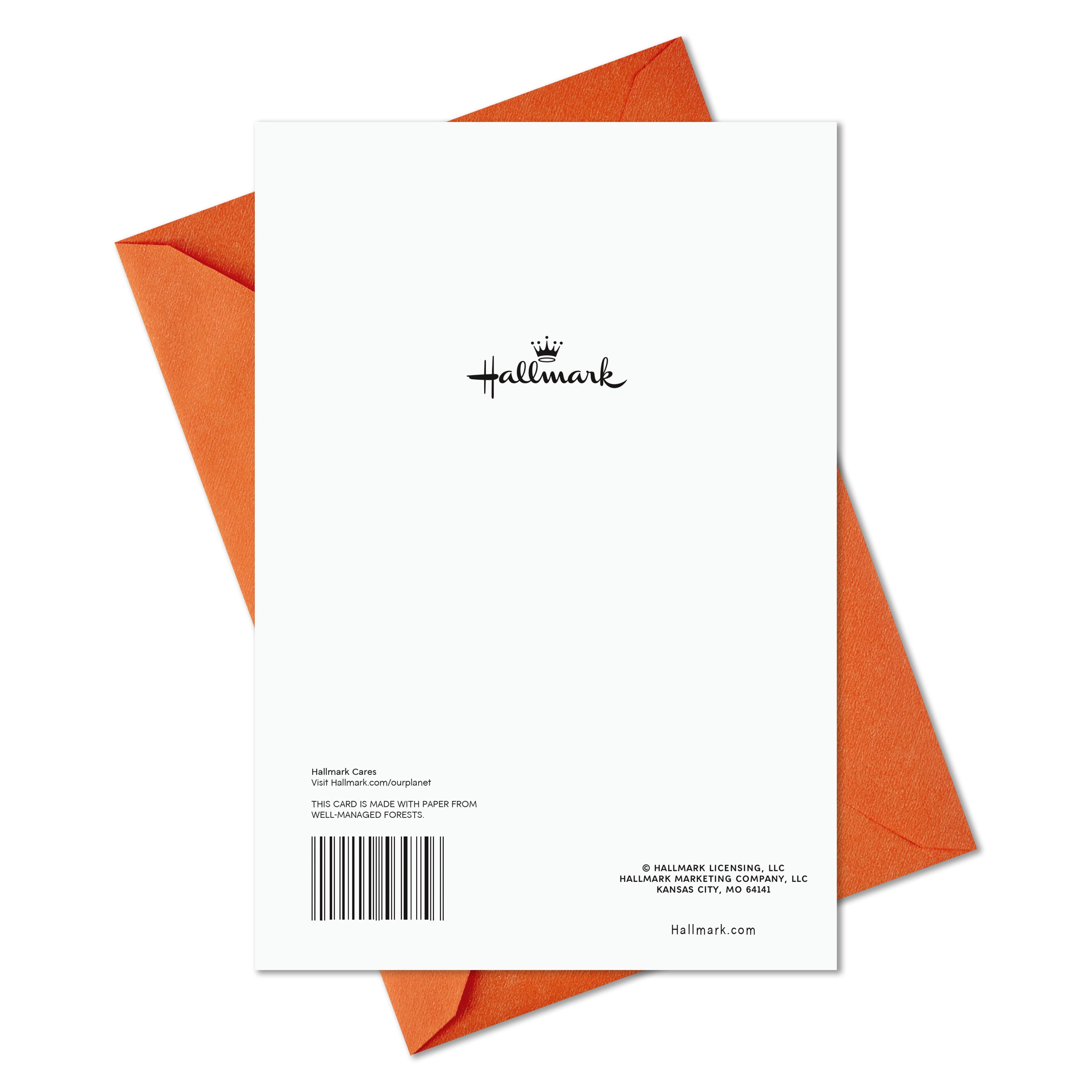 Hallmark Halloween Greeting Card (Splendidly Spooky Ghosts and Jack-o'-Lantern)