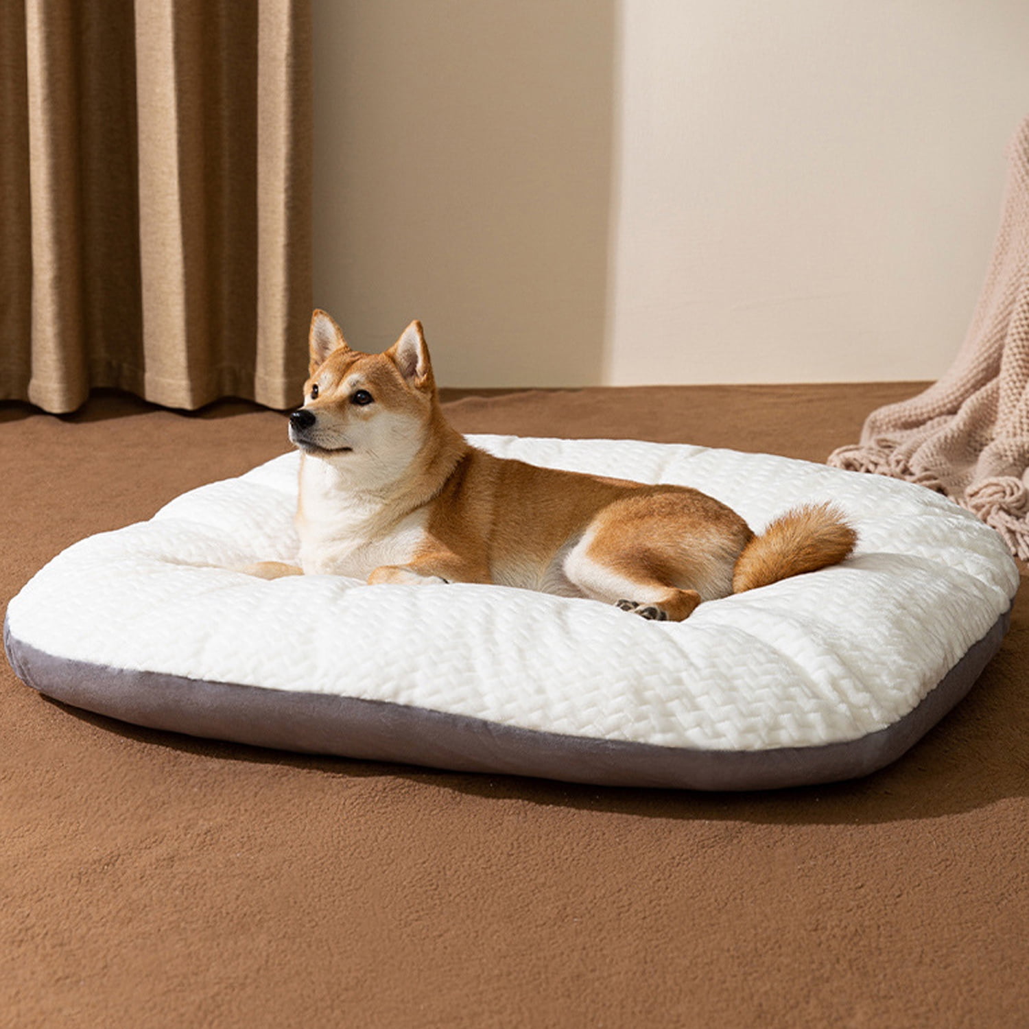 Pawslife store cozy bed