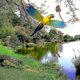thumbnail image 2 of Bird Swing Cotton Rope Spiral-perch Parrot Climbing Toy Boredom Breaker, 2 of 5