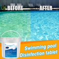 thumbnail image 4 of 300 Pcs Tablettes de Nettoyage pour Piscine et Spa, 4 of 8