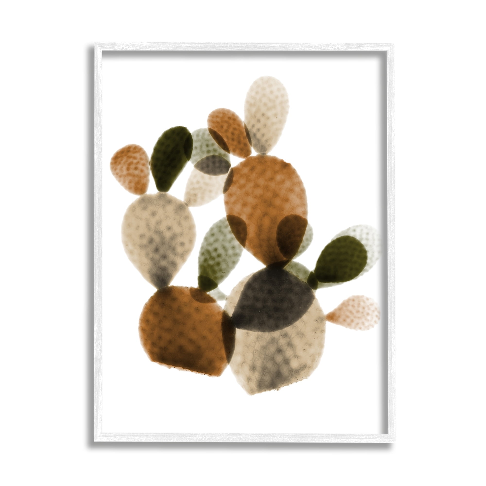 Stupell Industries Prickly Pear Cactus Plants Layered Green Brown Succulents, 24 x 30,Design by Albert Koetsier