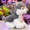 thumbnail image 5 of Perro Perrito De Peluche San Valentin Suave Pelucheria, 5 of 5