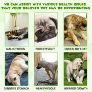 Oimmal 3-in-1 Liquid Probiotic for Dogs | Supports Digestive Health & Gut Comfort - 60ml (1 Pack)