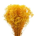 thumbnail image 3 of Dried Baby's Breath Flower 17 Inch Yellow Natural Baby's Breath Branches for Wedding Party Home Decoration 2 Pcs, 3 of 6