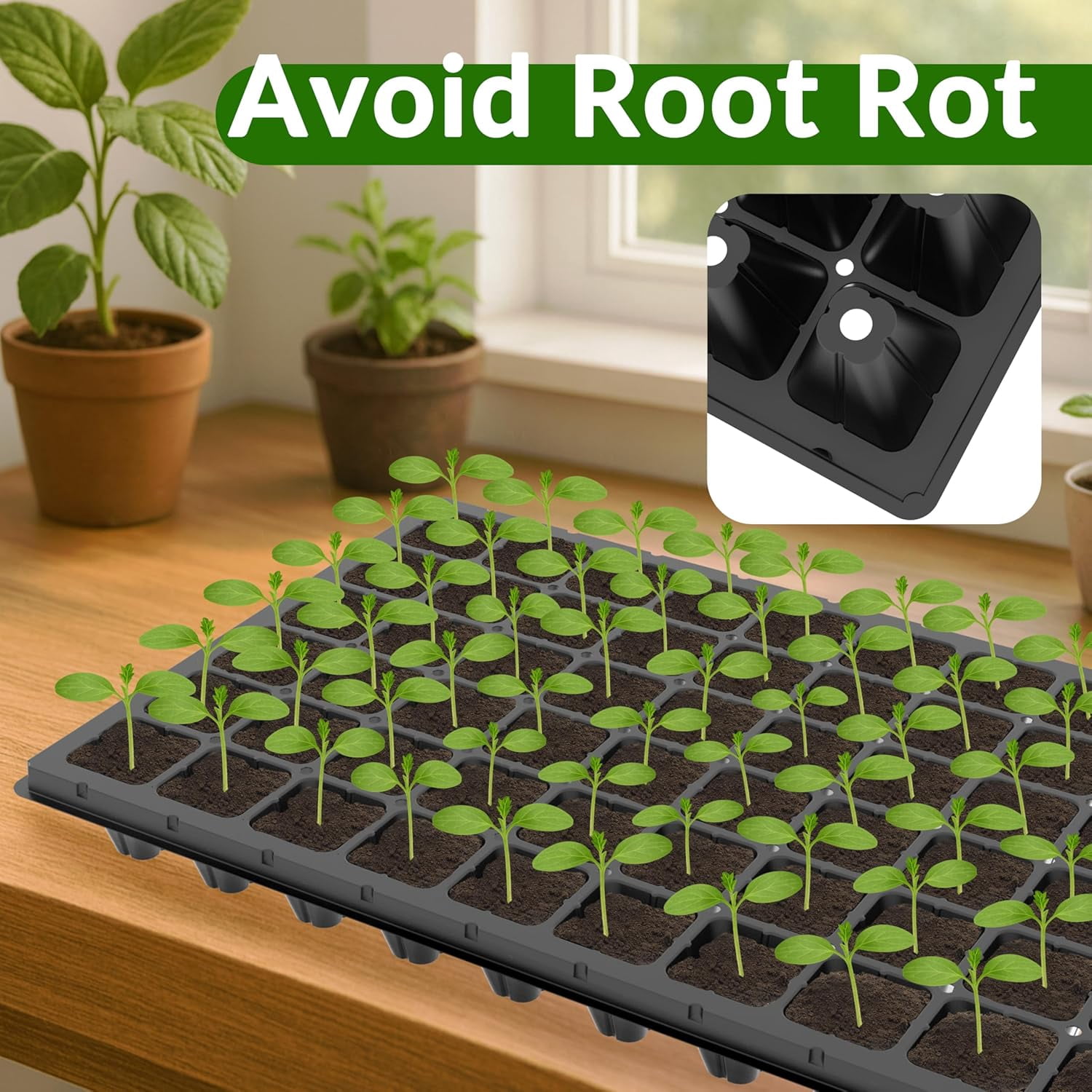 Seed Starter Trays 72 Cell 1.75 Inch Deep Plug Tray Seedlings Drainage Holes 10 Pack