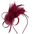 thumbnail image 1 of Tulle Mesh Headpiece,Elegant Hat Clip,Party Performance Hair Accessories,Delicate Lightweight Tulle Mesh Craft With Minimalist Decorative Design,Exquisite Hair Clip Ornament For Party,Wine, 1 of 7