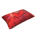 thumbnail image 4 of Throw Pillow Covers 20x30 Inch, Geometry Dash Decorative Pillow Case for Sofa Couch Chair Bedroom Modern Decor, 4 of 7