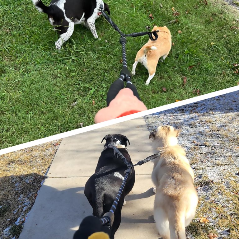 Dinosam Double Dog Leash with 360° Swivel, Black photo 7