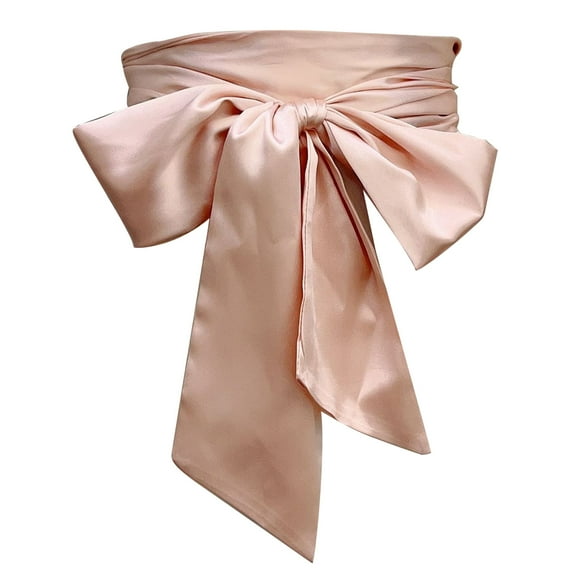 RUISINERY Ribbon Waistband Wide Belt Women's Dress Bowknot Sash Corset Belt for Weddings and Parties 250cm Long Solid Color