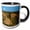 Black/White, variant on 3drose, North Carolina, Boone Fork. Forest and Stream Landscape., 11oz Two-tone Green Mug