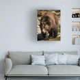 thumbnail image 2 of Canvas Wall Art - Dennis Frates 'Close Up Of Grizzly Bear' Wall Art for Living Room, Bedroom, or Office DÃ©cor by Trademark Fine Art - 35 x 47 Inches, 2 of 4