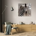 thumbnail image 3 of Dana Underdahl 28x28 Gallery Wrapped Canvas Wall Art Titled - Safari Zebra IV, 3 of 4
