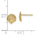 thumbnail image 3 of 14k Yellow Gold Scallop Shell Post Earrings, 3 of 3