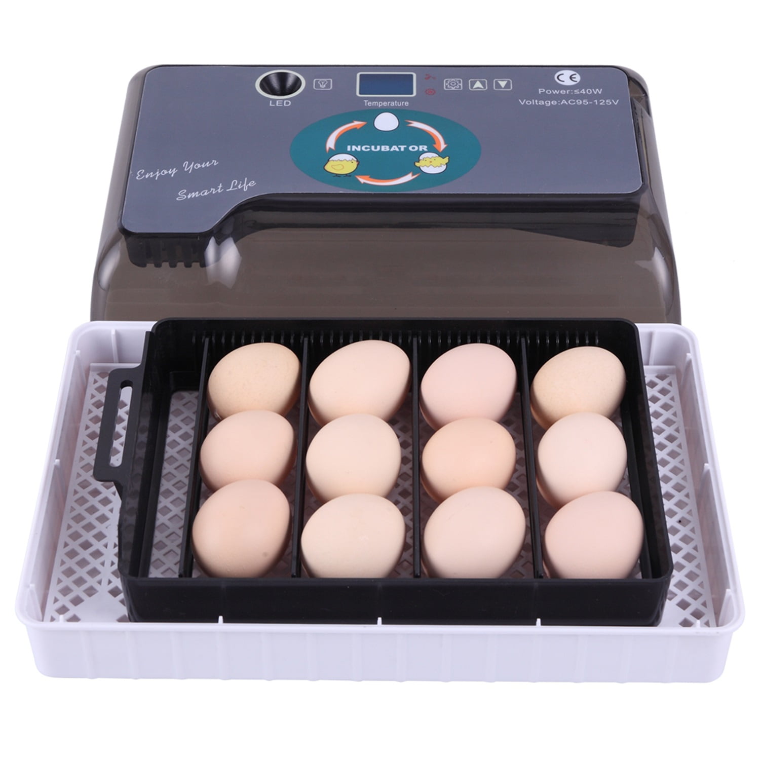 Canddidliike Egg Incubator, 12 Eggs Fully Automatic Digital Poultry Hatcher Machine Breeder with LED Candler Canddidliike Egg Incubator, 12 Eggs Fully Automatic Digital Poultry Hatcher Machine Breeder with LED Candler