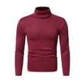 thumbnail image 2 of Spring Autumn Men Fitness Top Slim Fit High Collar Stretchy Long Sleeves Solid Color Pullover Fitness Sport Top Winter Bottoming Clothes, 2 of 8