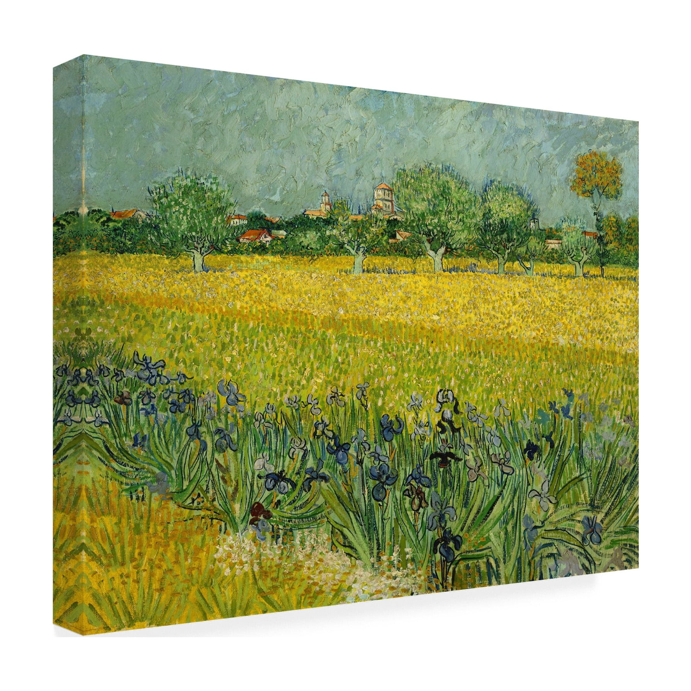 Van Gogh 'Field With Flowers Near Arles' Canvas Art