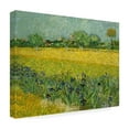 thumbnail image 4 of Van Gogh 'Field With Flowers Near Arles' Canvas Art, 4 of 4