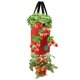 thumbnail image 2 of Bolsa de fresas de múltiples bocas, bolsa colgante para plantar fresas, cesta de plantas no tejidas de 3 galones y 12 agujeros, 2 of 8