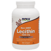 NOW Foods Sunflower Lecithin Essential Nutrient Powder, 1 lb Walmart