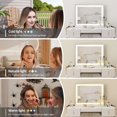 thumbnail image 2 of ELECWISH Vanity Mirror with Led Lights, 3 Colors Modes & Adjustable Brightness, Vanity Makeup Mirrors, 10x Spot Mirror, USB Charging Port(31.5"x 23.6"), 2 of 8
