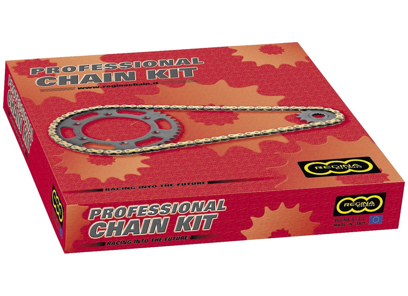 Regina Chain 5QUAD/098KYA017 OE Chain and Sprocket Kit - Walmart.com ...