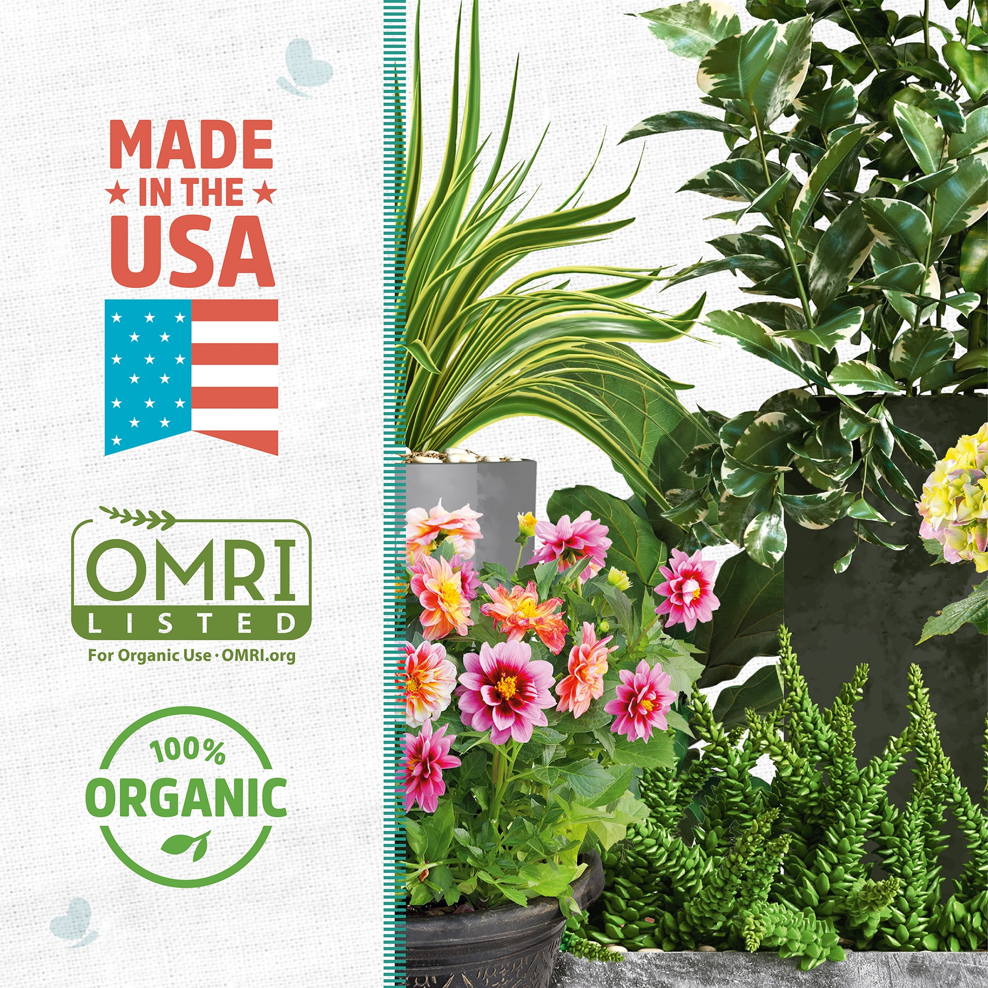 Back to the Roots Organic Perlite for Garden Soil, 8 qt