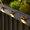 16, variant on Deck Lights Outdoor 16 Pack, Waterproof Led Lights for Stairs, Fence, Yard, , and Pathway