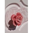 thumbnail image 2 of 8 Uds. Tiradores elegantes de flores rosas, pomos de cerámica para muebles, tiradores para cajones y armarios JM, 2 of 5