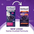 thumbnail image 2 of Sirope Sambucol Black Elderberry para niños, 120 ml, apoyo inmunológico, 2 of 7
