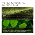 thumbnail image 5 of Livingood Daily Matcha + Moringa Powder, 30 Servings - 2in1 Matcha Powder & Moringa, Vegan Supplement, 5 of 7