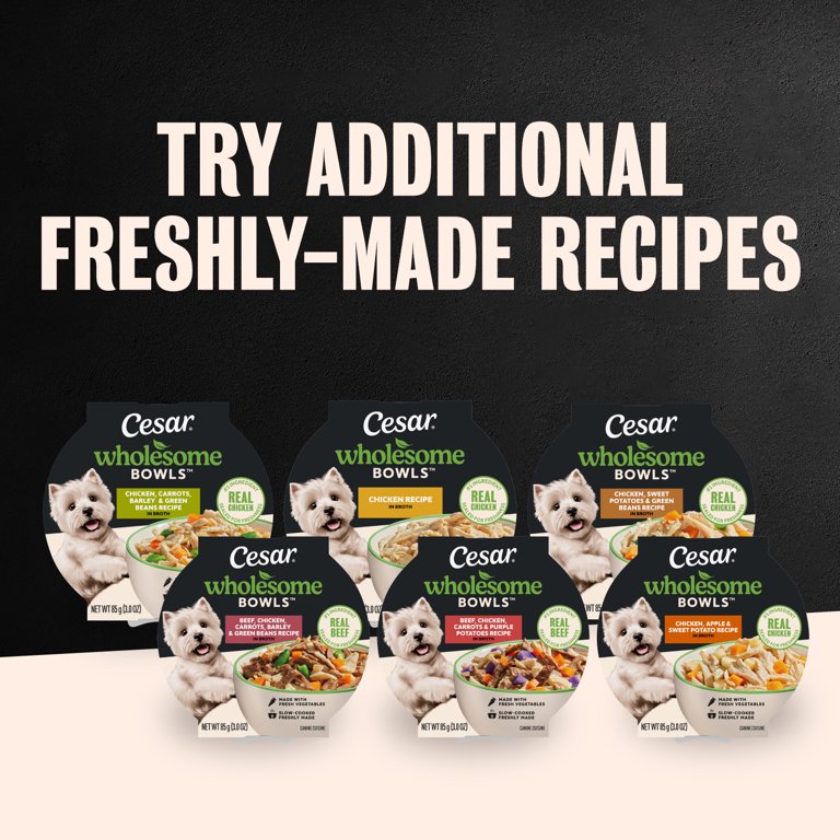 Cesar Wholesome Bowls Beef & Vegetables Wet Dog Food, 10 Bowls photo 7
