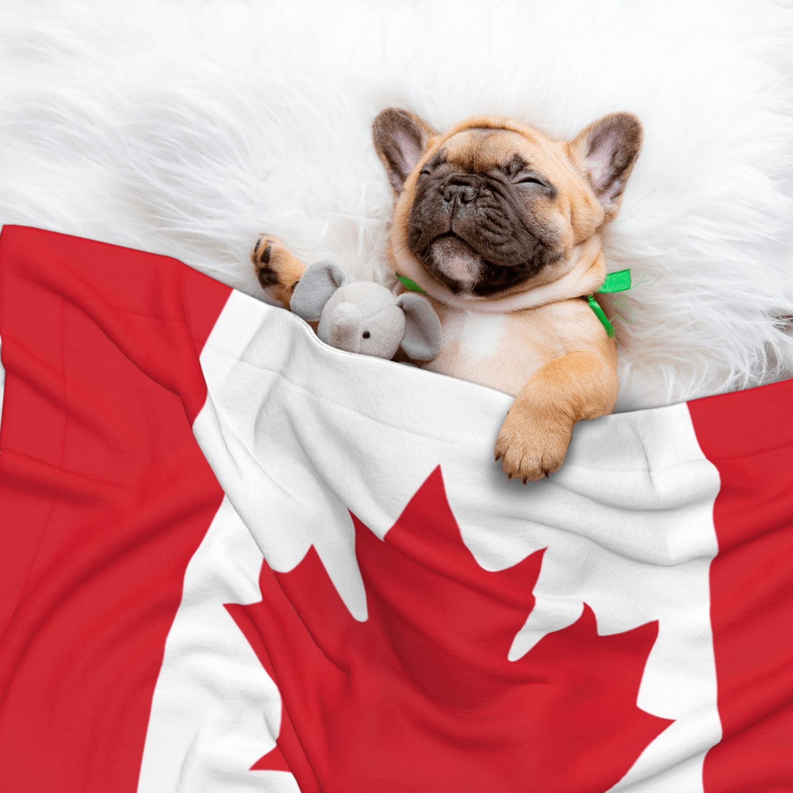 Flannel Throw Dog Blanket Flag Of Canada Soft Warm Print Pet Blankets for Small Dog Cat Puppy