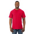 thumbnail image 1 of Fruit Of The Loom T-Shirt à Manches Courtes en Coton HD pour Hommes, 2TG, Rouge Ardent, 1 of 3
