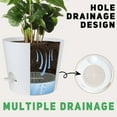 thumbnail image 3 of 10-Inch Plant Pots, Self-Watering Planters with Drainage Holes & Saucers for Indoor and Outdoor Plants (2-Pack, Black), 3 of 5
