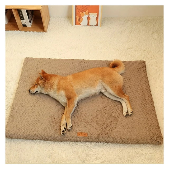 Short Plush Removable Washable Pet Bed, High Elasticity Non-Collapse Dog Bed, Suitable for Small