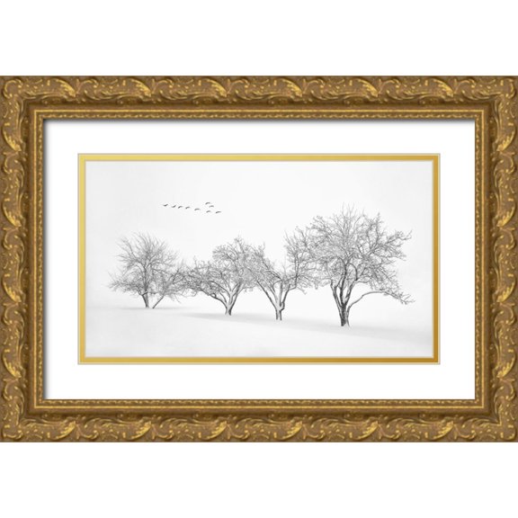Xu, Mei 24x15 Gold Ornate Wood Framed with Double Matting Museum Art Print Titled - White World