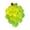 Green, variant on TOYOUME Grape Squishy Squeezy, Green