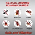 thumbnail image 5 of Pest Nemesis, Special for Cockroaches & Other Pests, Universal for Indoor & Outdoor Use,Trusted Established Brand,1 bottle(100ml/bottle), 5 of 5