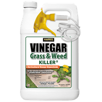 Harris VWEED-128 1 gal 20 Percentange Vinegar Weed Killer
